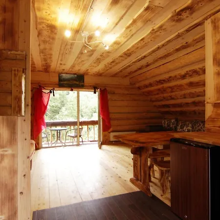 Apartment In Mauntains With Chan Near The Forest Slavske